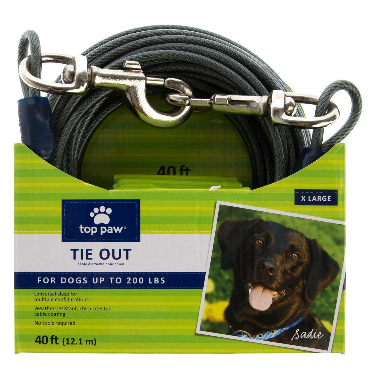 Dog Tie Out Q377338