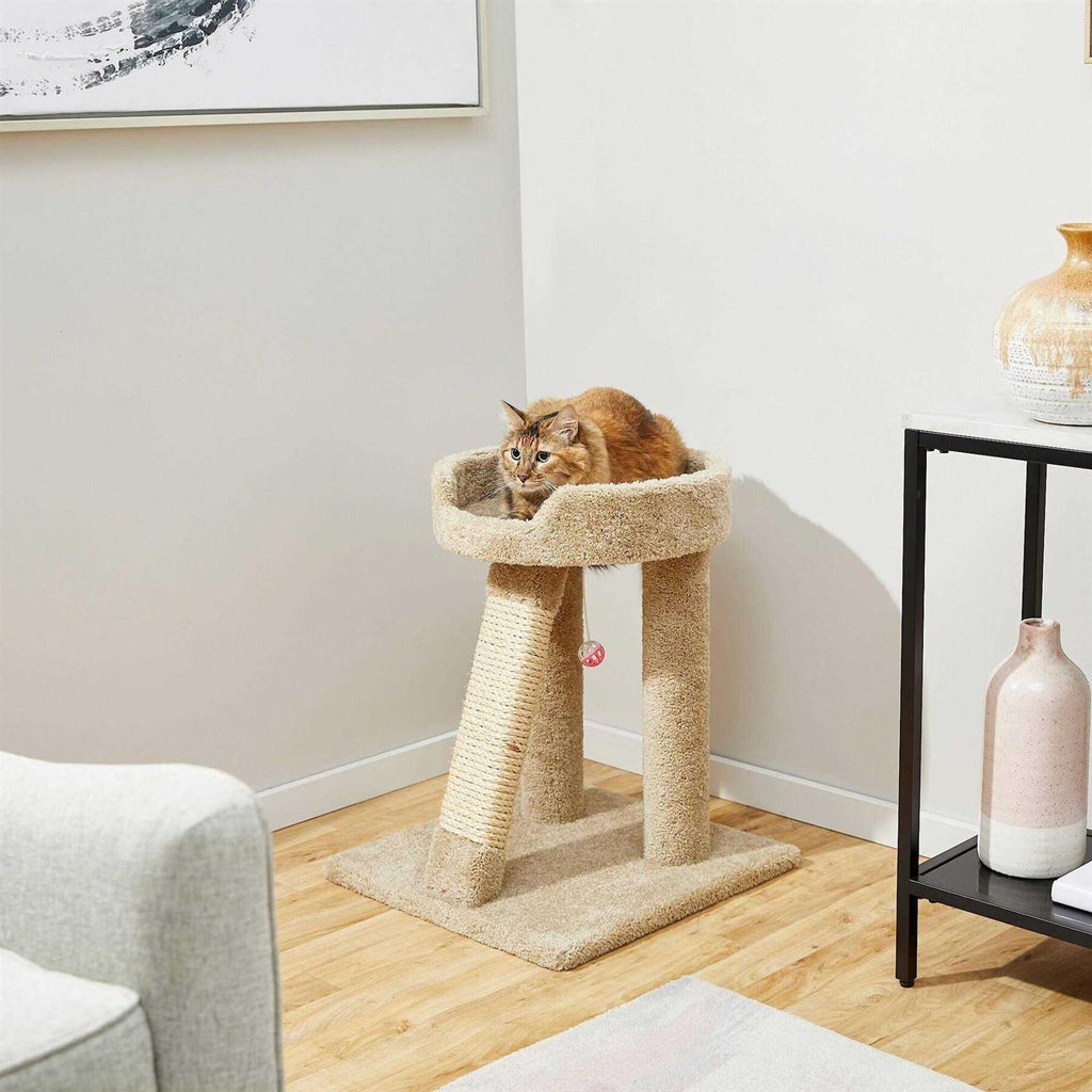 24-in Real Carpet Cat Scratching Perch with Toy K301