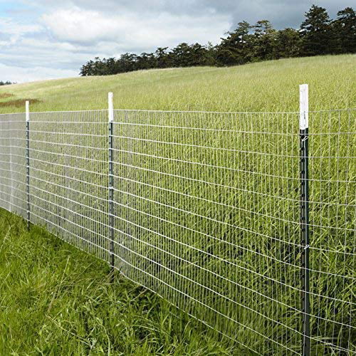 14 Gauge Galvanized Welded Wire Mesh 2 inch by 4 inch 5 ft. x 50 ft. R15063