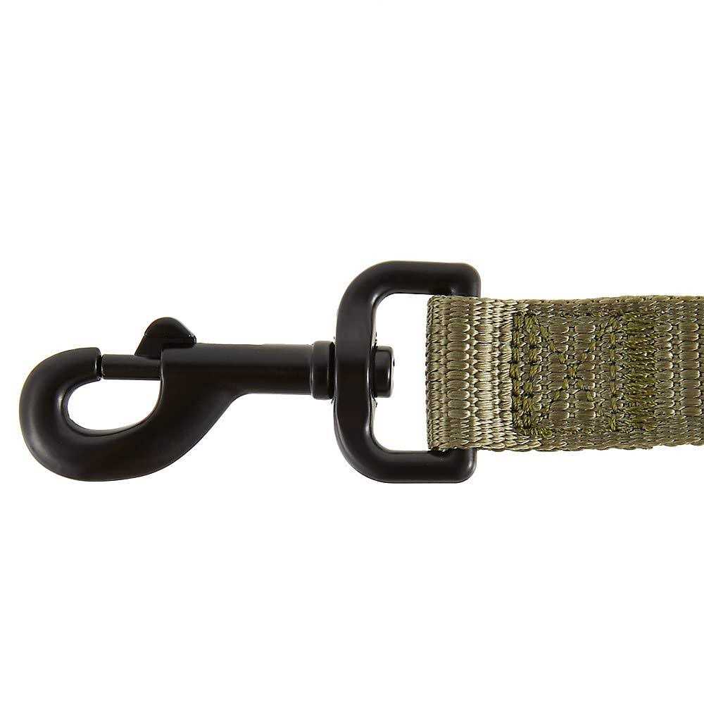 Hands-Free Dog Leash 6-ft Green P216833