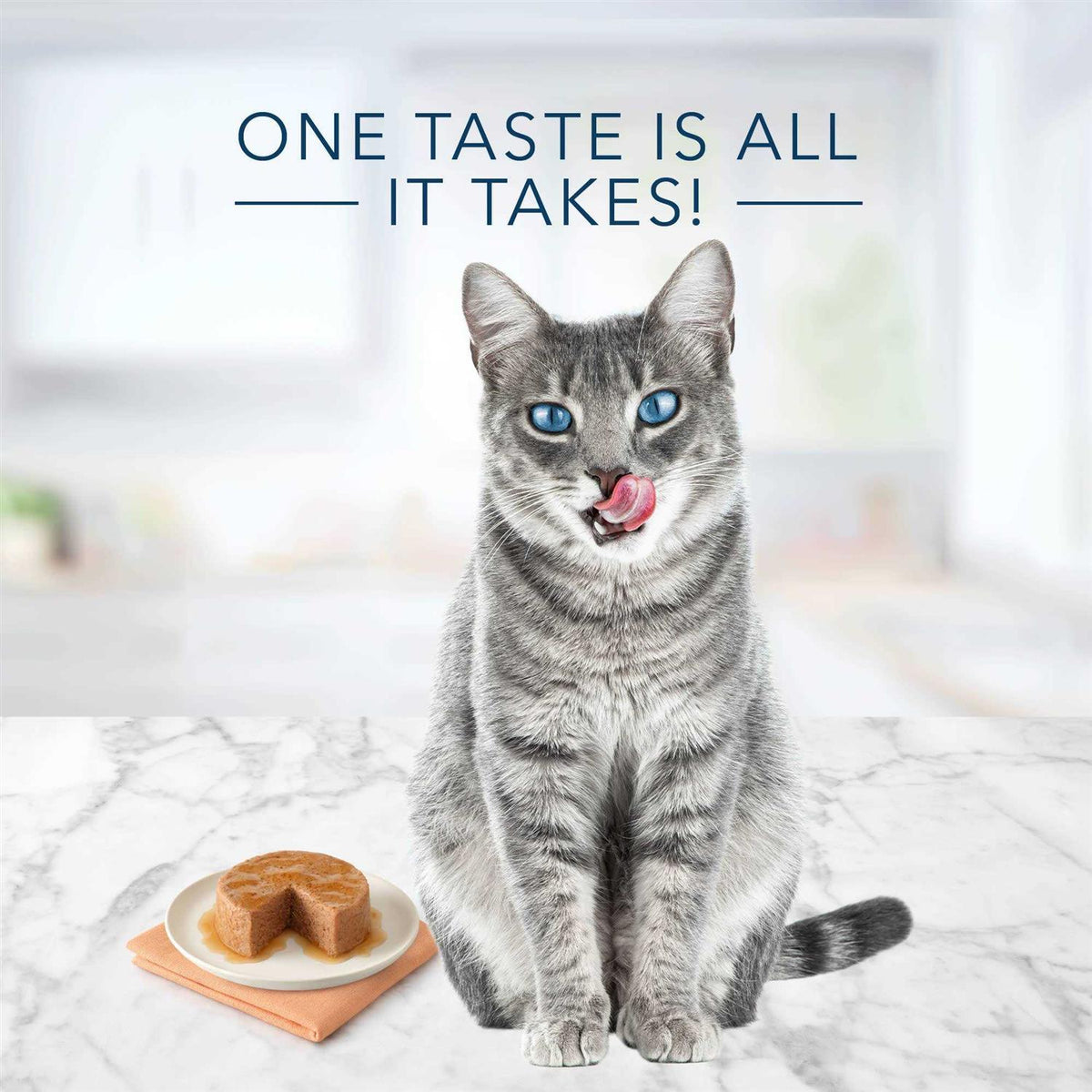 Chicken Salmon & Tuna Wet Cat Food Variety Pack U902