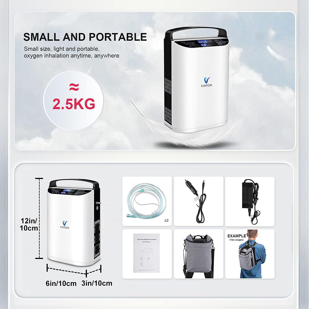 Portable 5 Liter Air Compressor with Carrying Case V985355