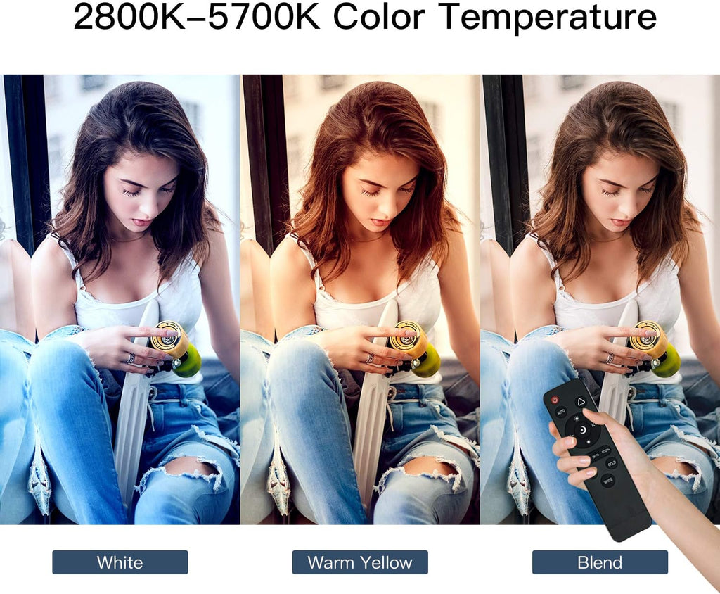 Softbox Lighting Kit Continuous Lighting System with 5700K Light Bulb G61577