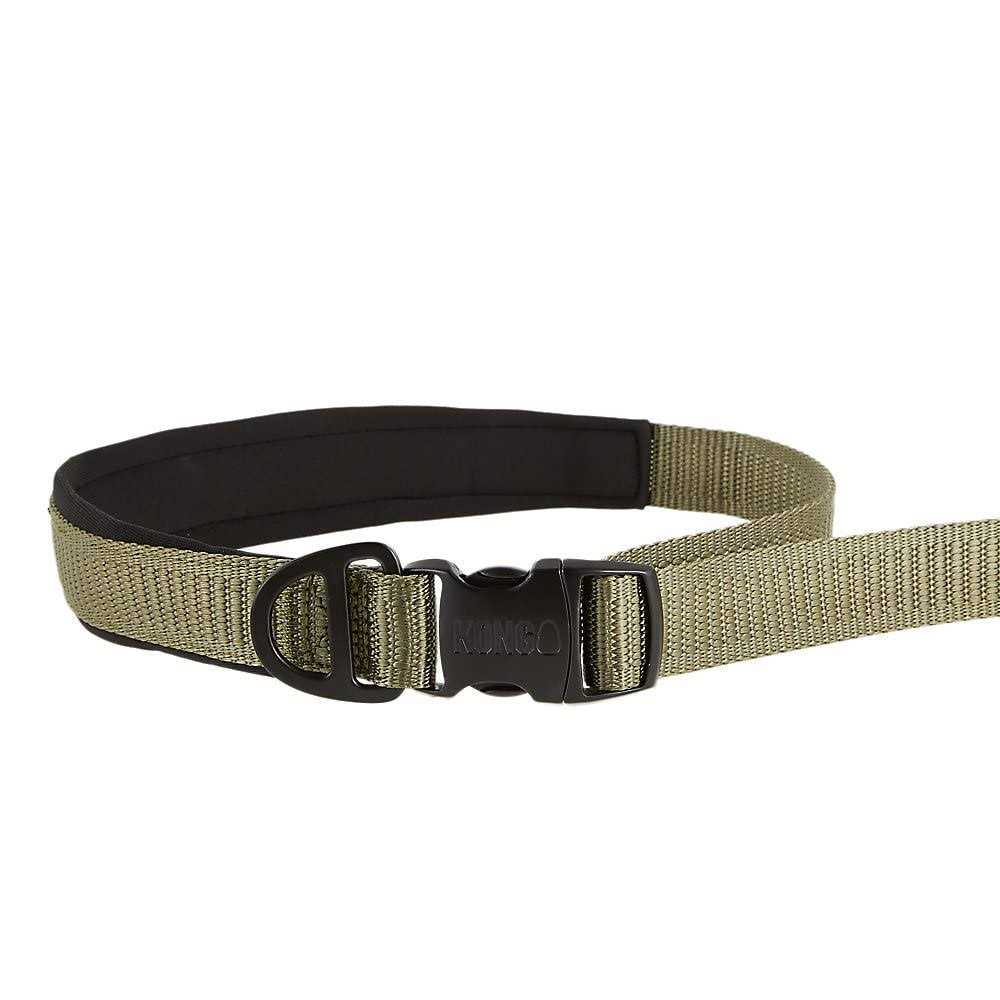 Hands-Free Dog Leash 6-ft Green P216833