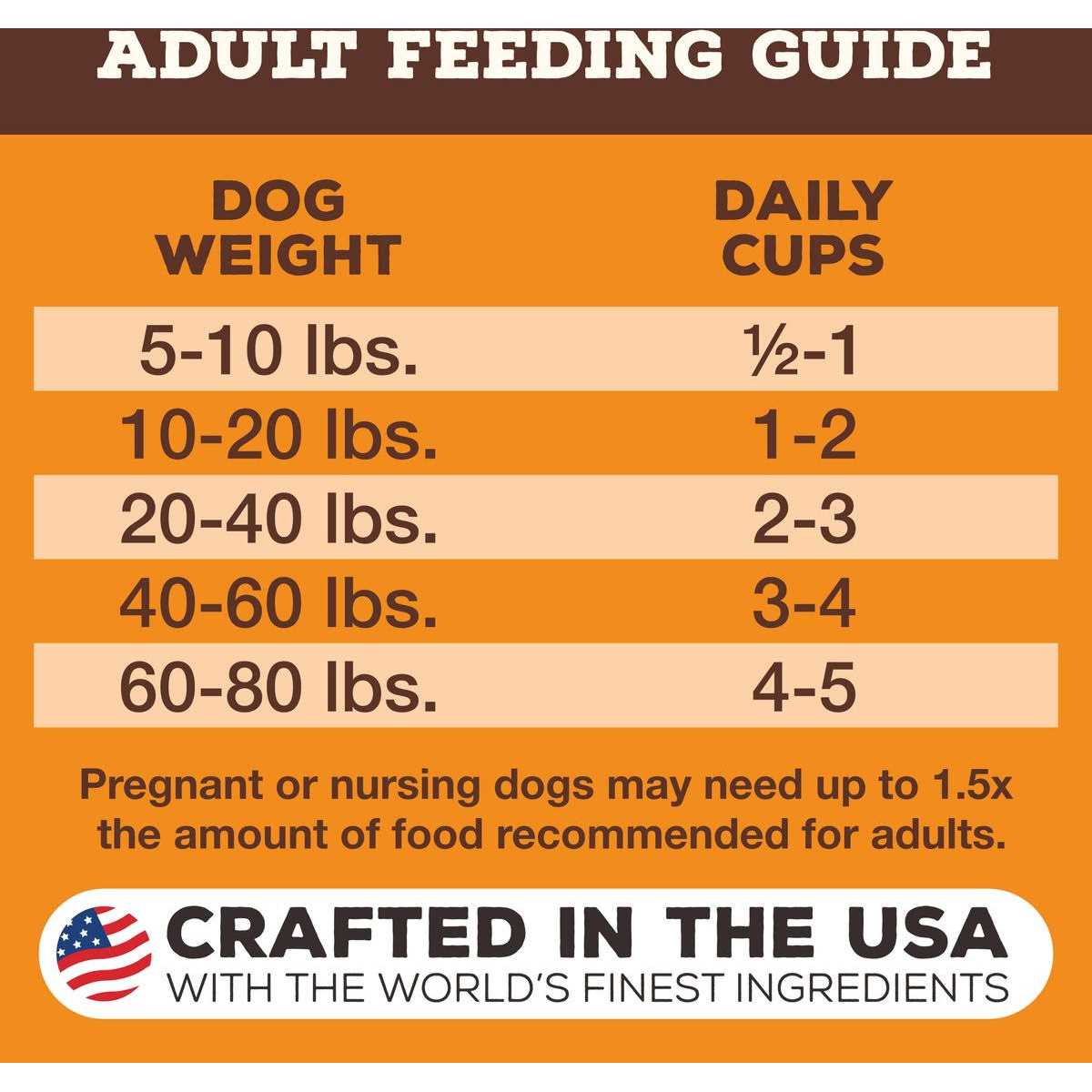 Freeze Dried Raw Dog Food B289622