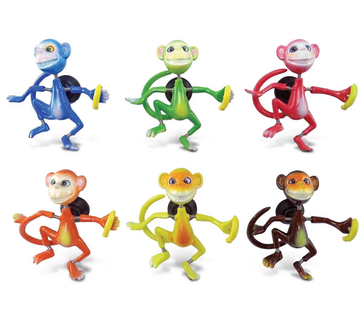 Set of 6 Assorted Color Animal Bobble Magnets V2777