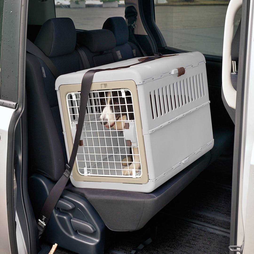 Foldable Pet Carrier G646388