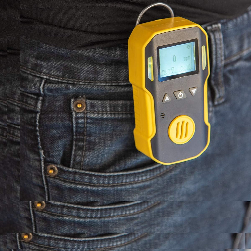 Hydrogen Sulfide Detector, 0-100ppm H2S, USB Recharge, Dust & Explosion Proof H402653
