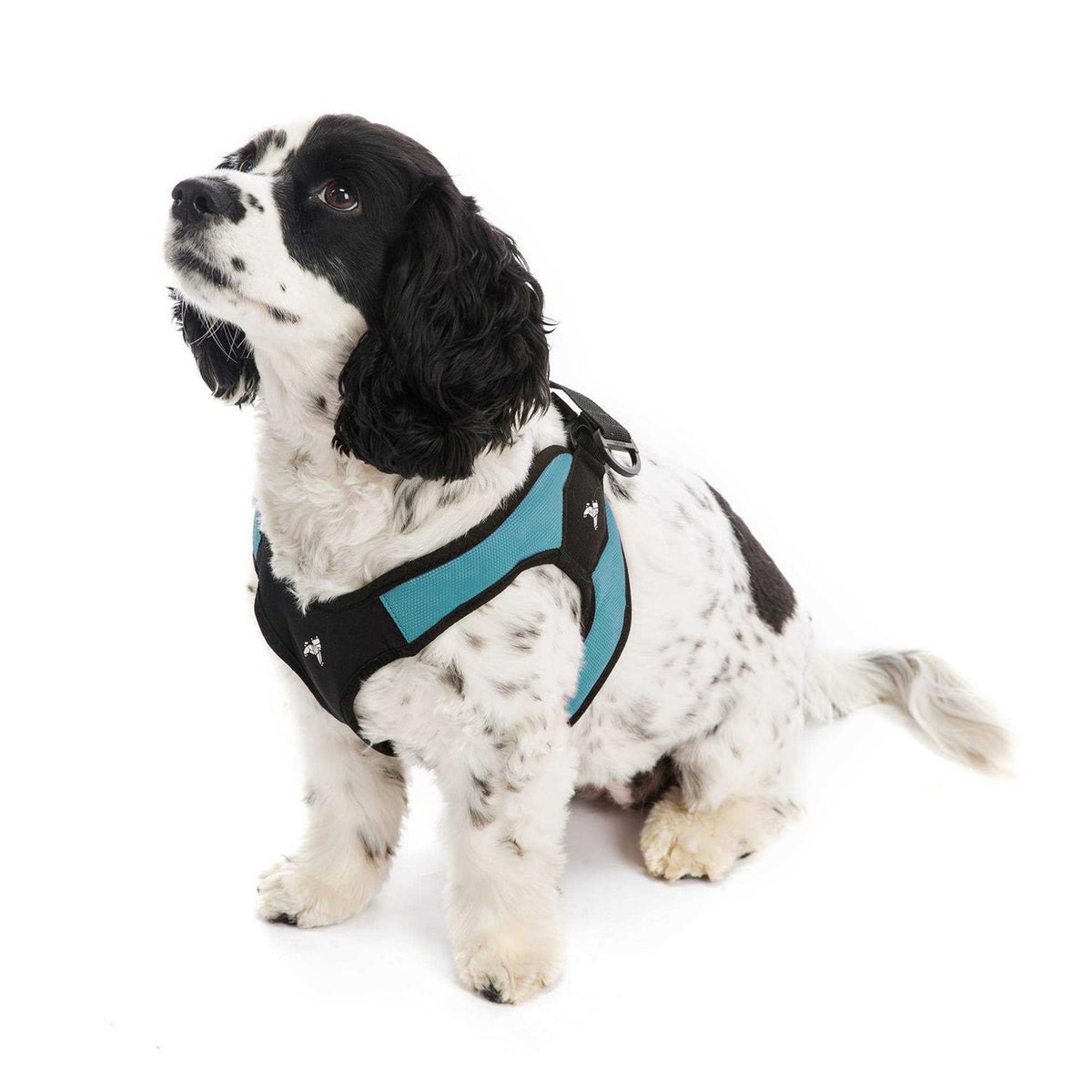 Dog Harness B123506