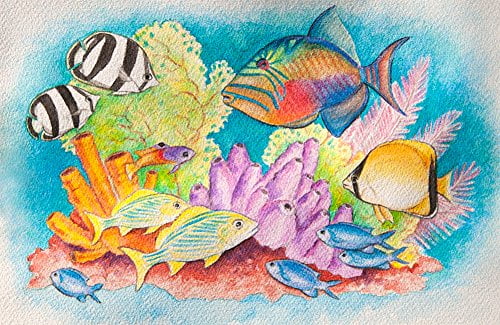 18 Packs Washable Watercolor Paint and Wood Brushes W58759