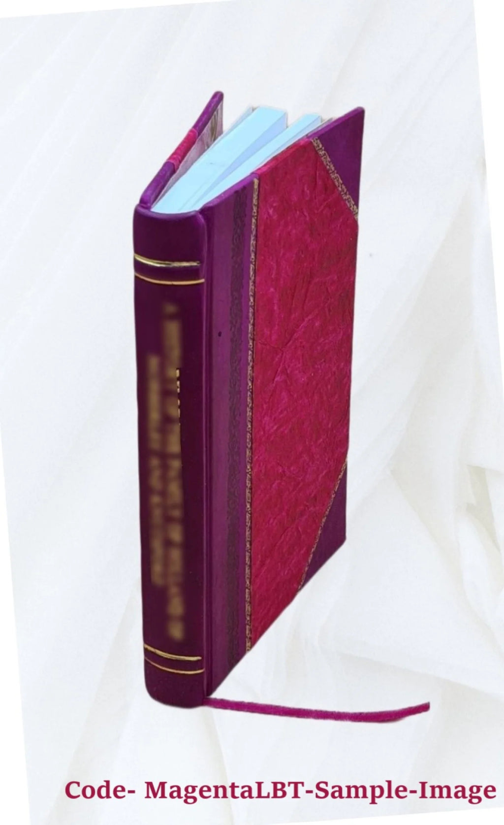 1922 Seed Catalogue Leather Bound X4336