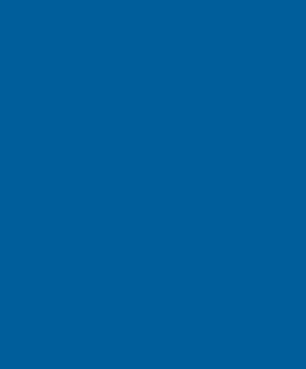 Brightside Polyurethane Paint Largo Blue Quart Y37295