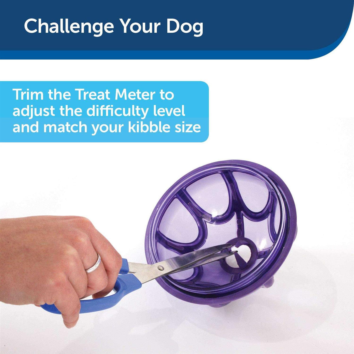 Kibble Nibble Dog Toy G6864