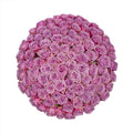 Coolwater Roses (100 Stems) I361