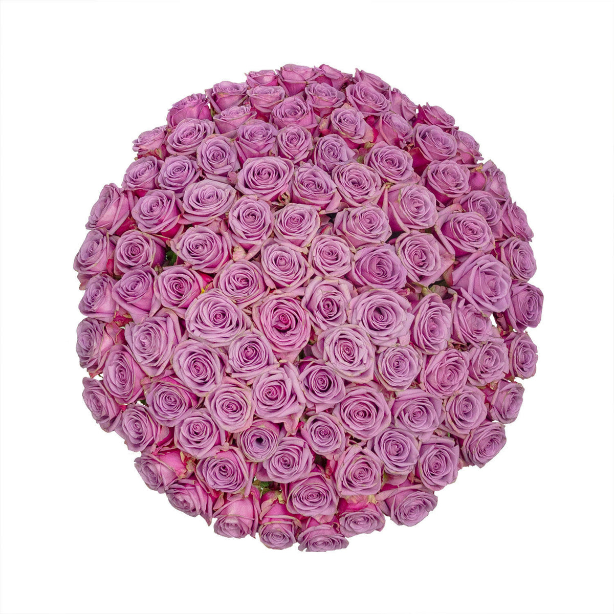 Coolwater Roses (100 Stems) I361