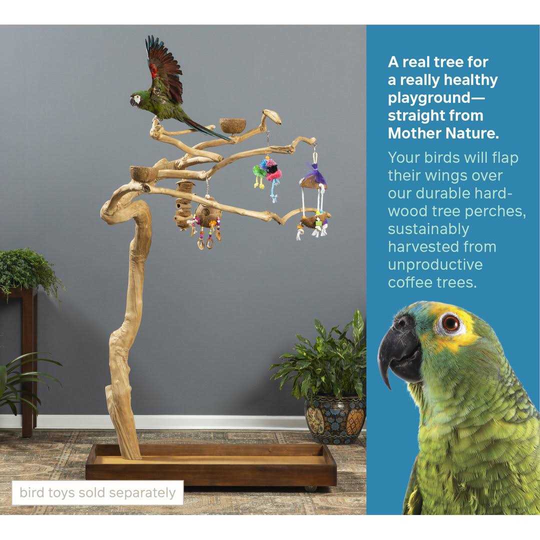 Coffeawood Tree Style #2 Floor Stand V853