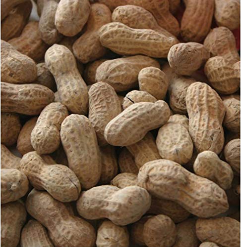 In-Shell Peanuts Wild Animal Food 25 Pound Bag Pack of 2 P15345