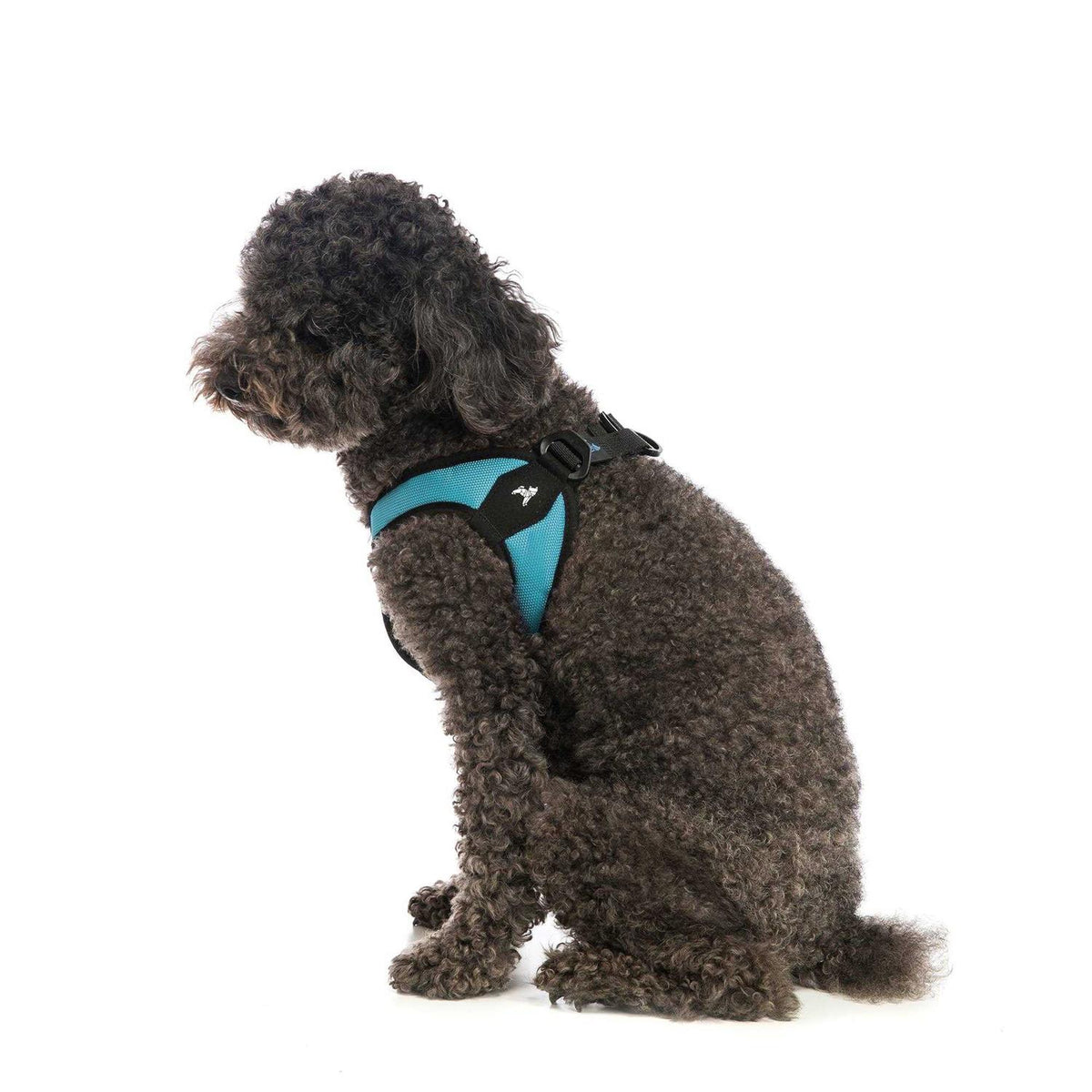 Dog Harness B123506