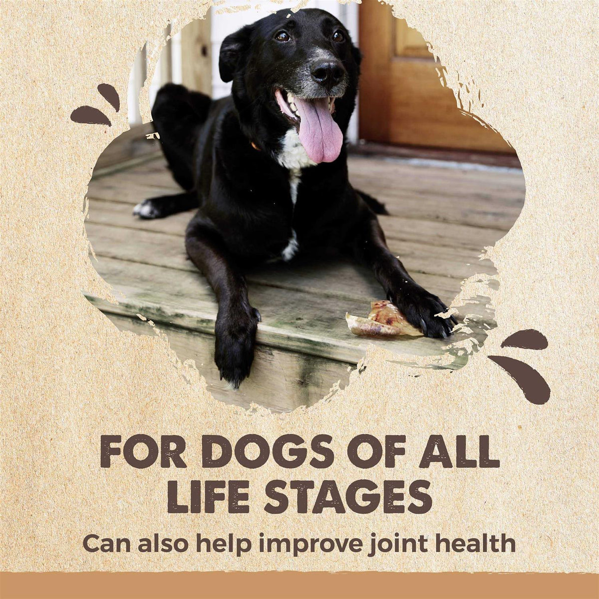 All Natural Dried Single Ingredient Dog Treats J12428