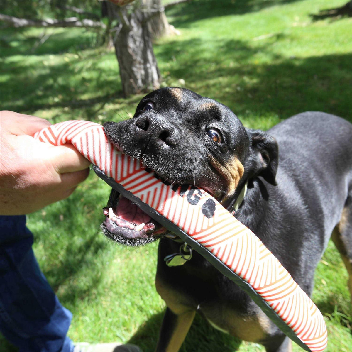 Dog Toy Stick B722414