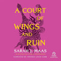 Fantasy Novel Q5646