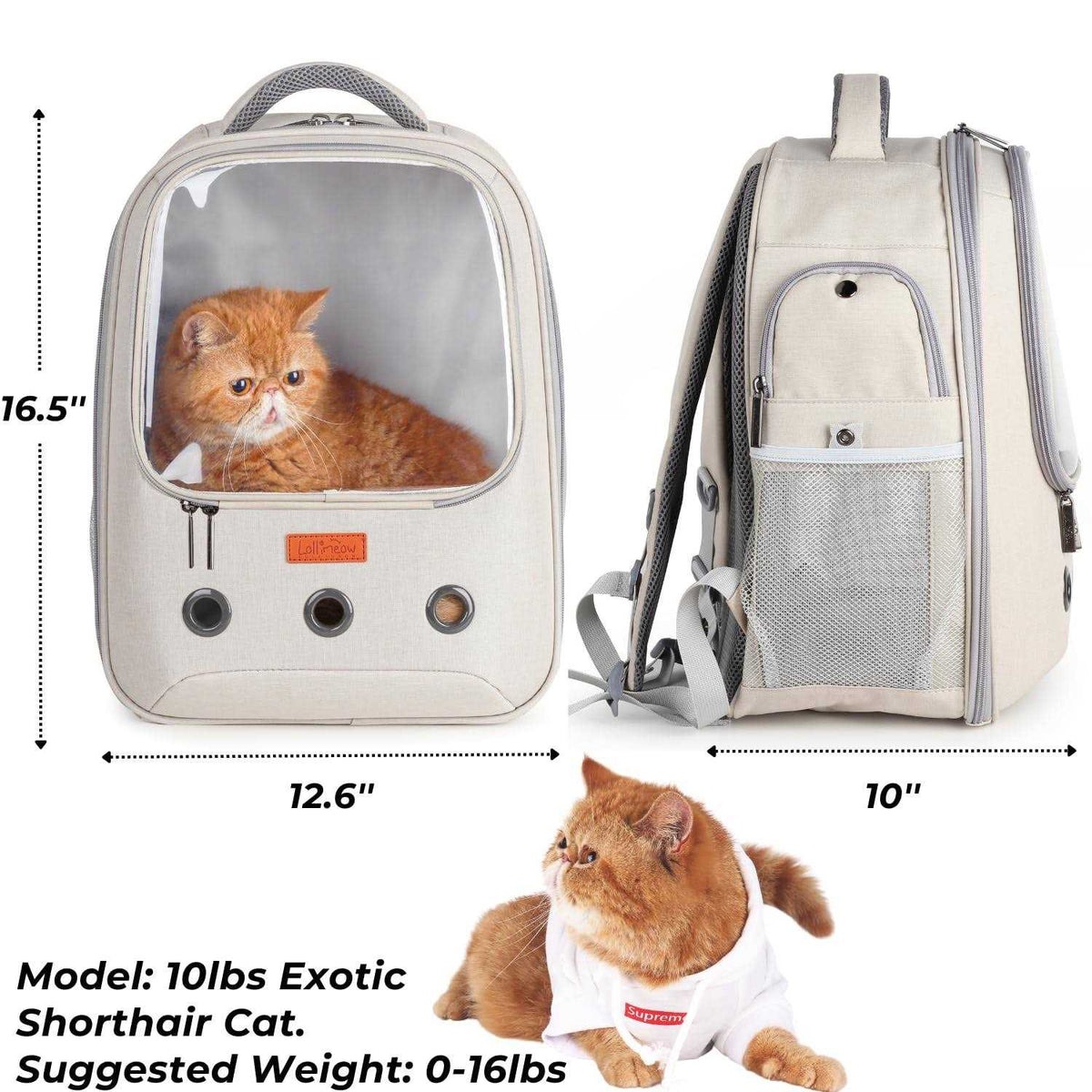 Pet Carrier Backpack C1238