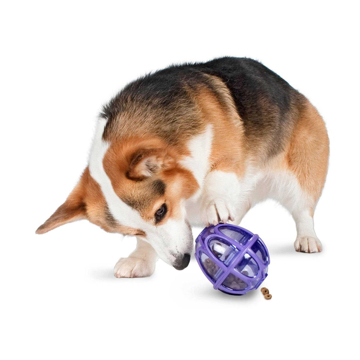 Kibble Nibble Dog Toy G6864