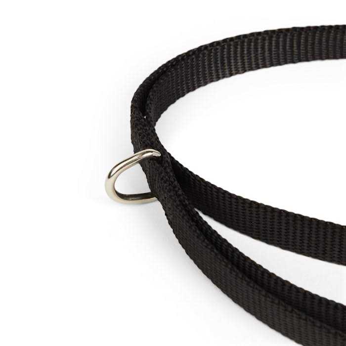 Dog Lead H604
