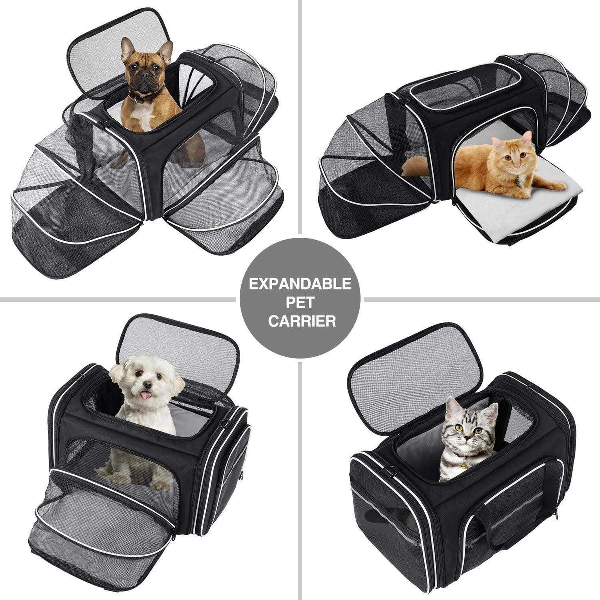 Soft Sided Pet Carrier 4 Expandable Collapsible G2793