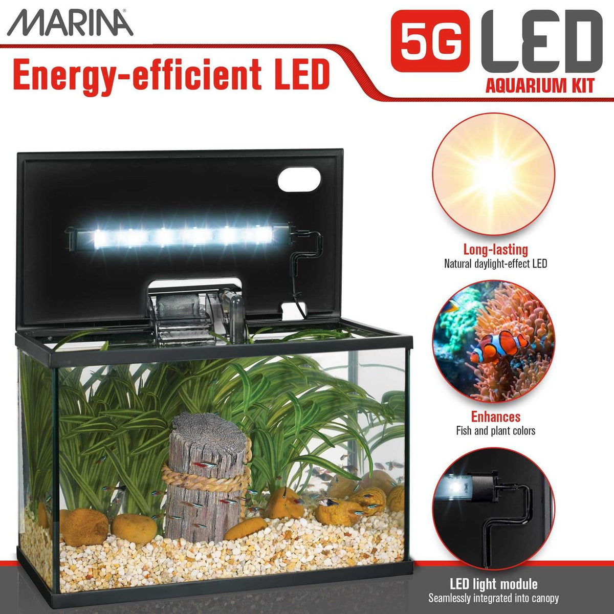 LED Glass Aquarium Kit J8982
